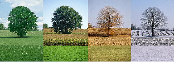 微软：343对《光环》的成功仍至关重要