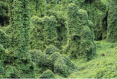 《星刃》公开新截图 神秘男主角亚当亮相